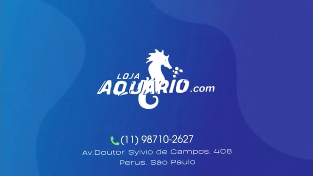 Loja Aquário